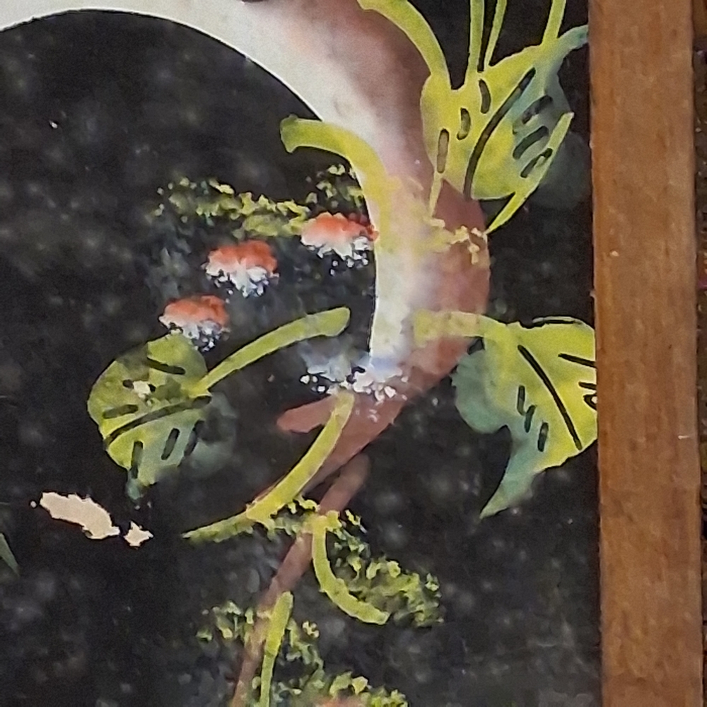 Source Unknown Vibrant Feather Art in Wooden Frame - Picture 4 of 7